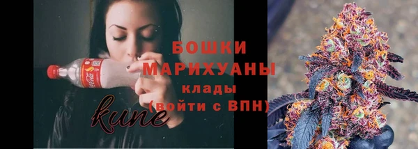 ПСИЛОЦИБИНОВЫЕ ГРИБЫ Горняк