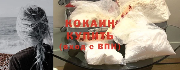 ПСИЛОЦИБИНОВЫЕ ГРИБЫ Горняк