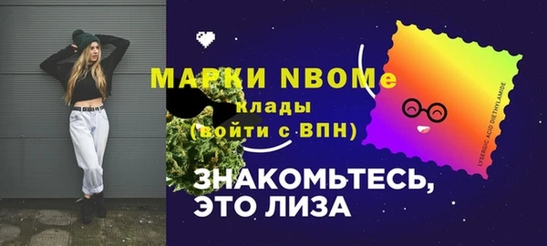 ПСИЛОЦИБИНОВЫЕ ГРИБЫ Горняк