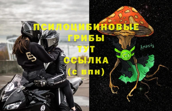 ПСИЛОЦИБИНОВЫЕ ГРИБЫ Горняк