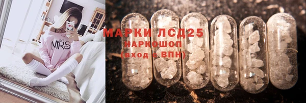 ПСИЛОЦИБИНОВЫЕ ГРИБЫ Горняк